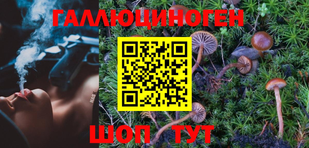 Галлюциногенные грибы Psilocybe  Вход с VPN  Псилоцибиновые грибы Magic Shrooms  Усолье-Сибирское 